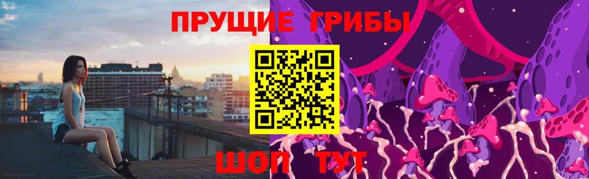 где купить наркотик  Вход с VPN  Псилоцибиновые грибы ЛСД  Шатура  Галлюциногенные грибы мухоморы 